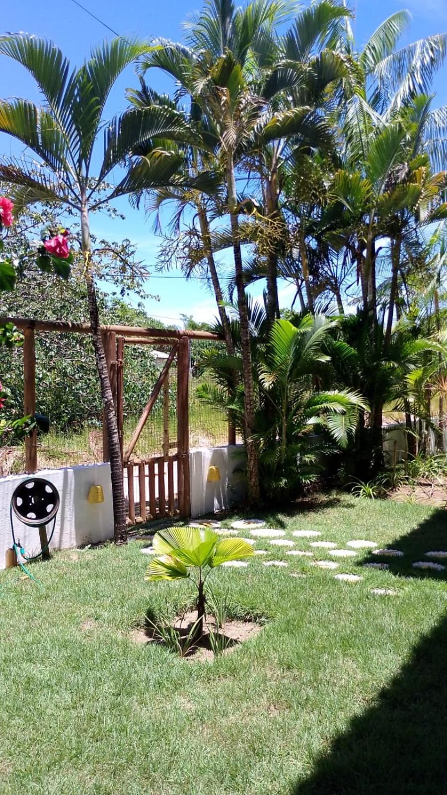 Pousada Eucaliptos Barra Grande  Exteriér fotografie